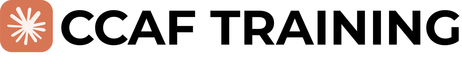 CCAF Training